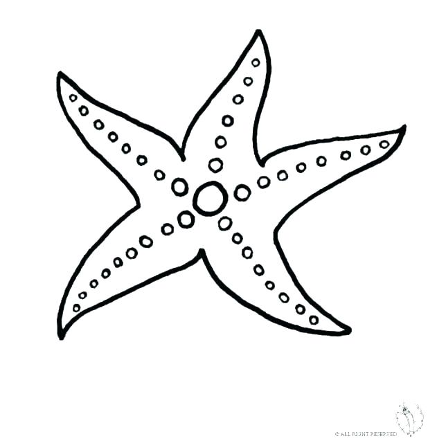 618x637 Sea Star Coloring Page Starfish Coloring Pages Wallpapers Pictures