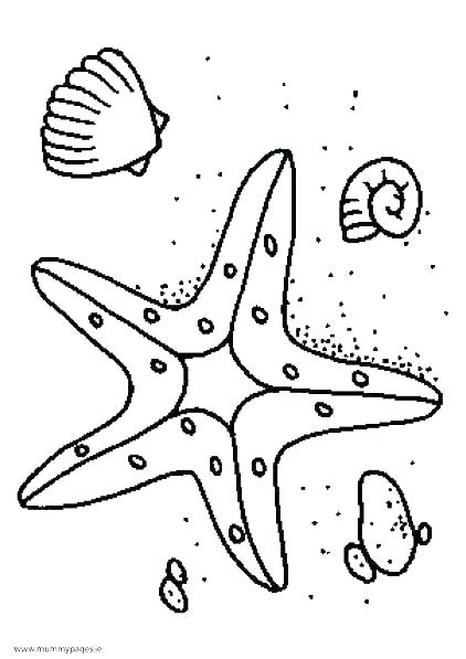 422x597 Seashell And Starfish Coloring Pages New Starfish Coloring Pages