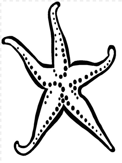 400x533 Starfish Coloring Page Coloring Book