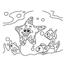 230x230 Starfish Coloring Pages
