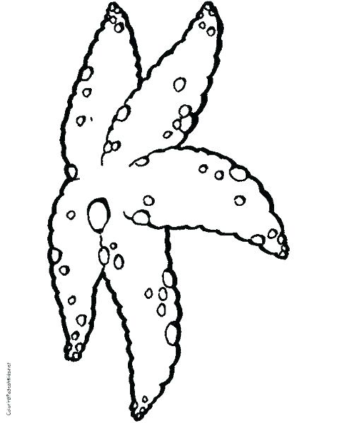 477x600 Starfish Coloring Pages Starfish Coloring Pages Star Fish Coloring