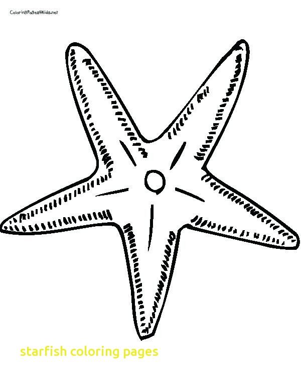 600x756 Starfish Coloring Pages With Starfish Coloring Page Pin Drawn