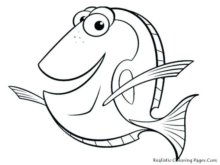 728x546 Starfish Coloring Pages Printable Coloring Pages Of Fish Coloring