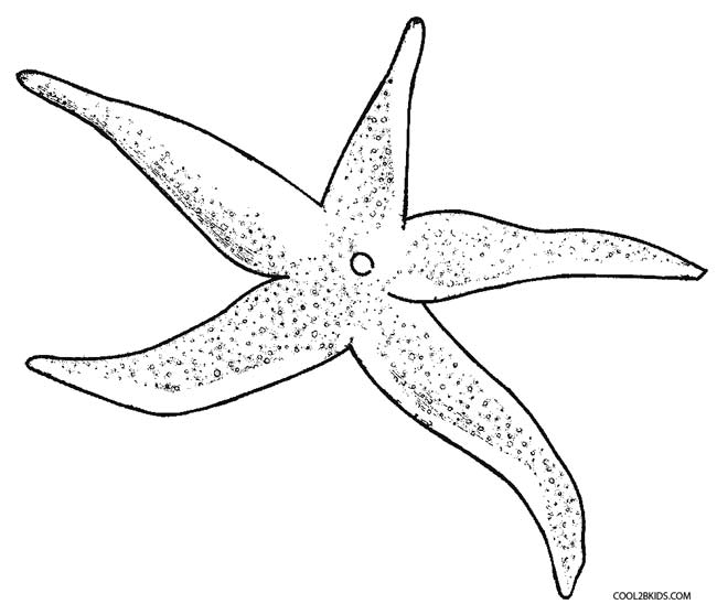650x558 Printable Starfish Coloring Pages For Kids