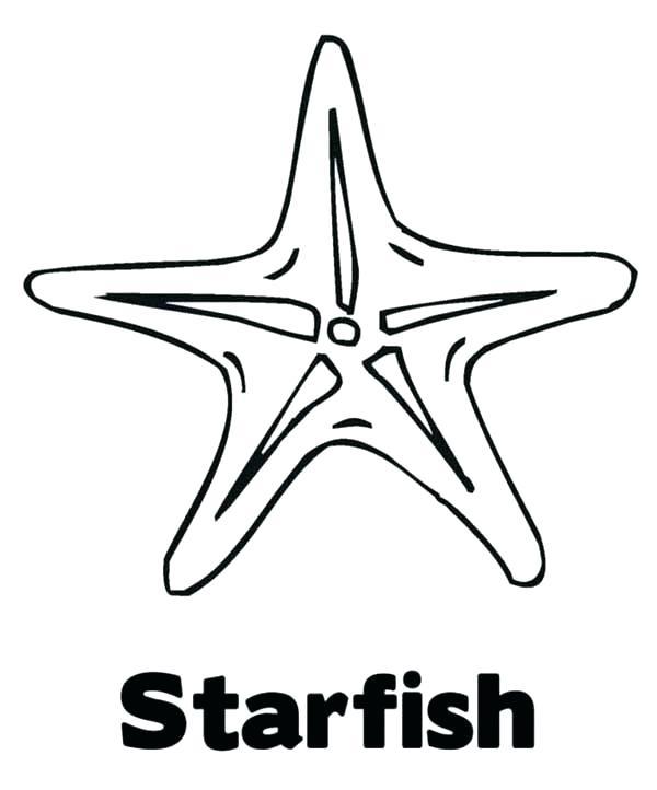 600x722 Starfish Coloring Pages Sea Star Coloring Page Drawn Starfish