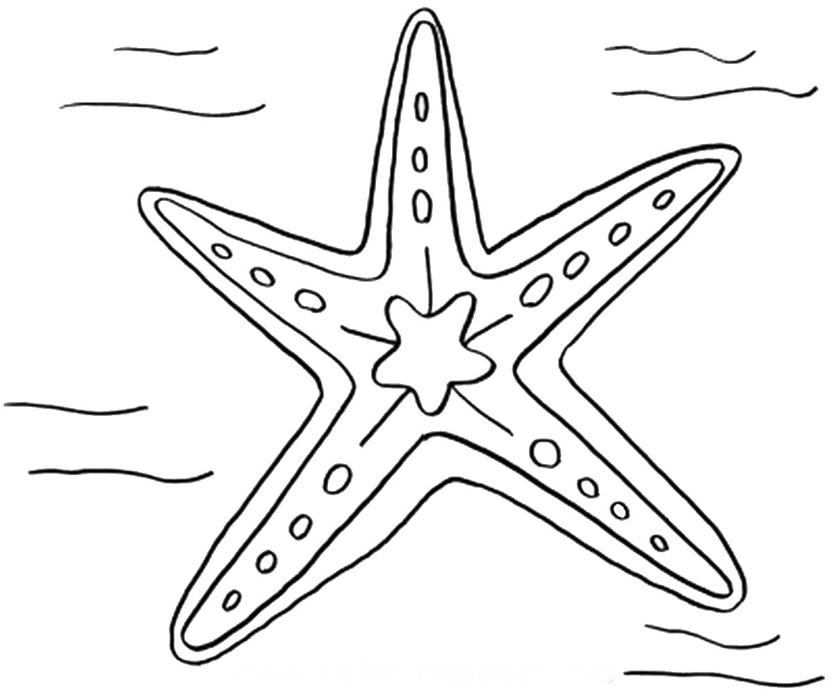 1200x1005 Starfish Coloring Pages
