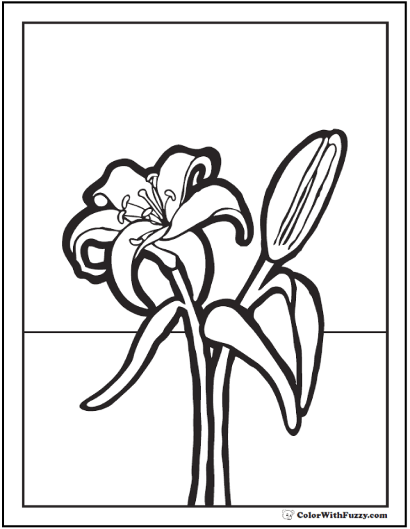 590x762 Lily Coloring Pages Customize Pdf Printables
