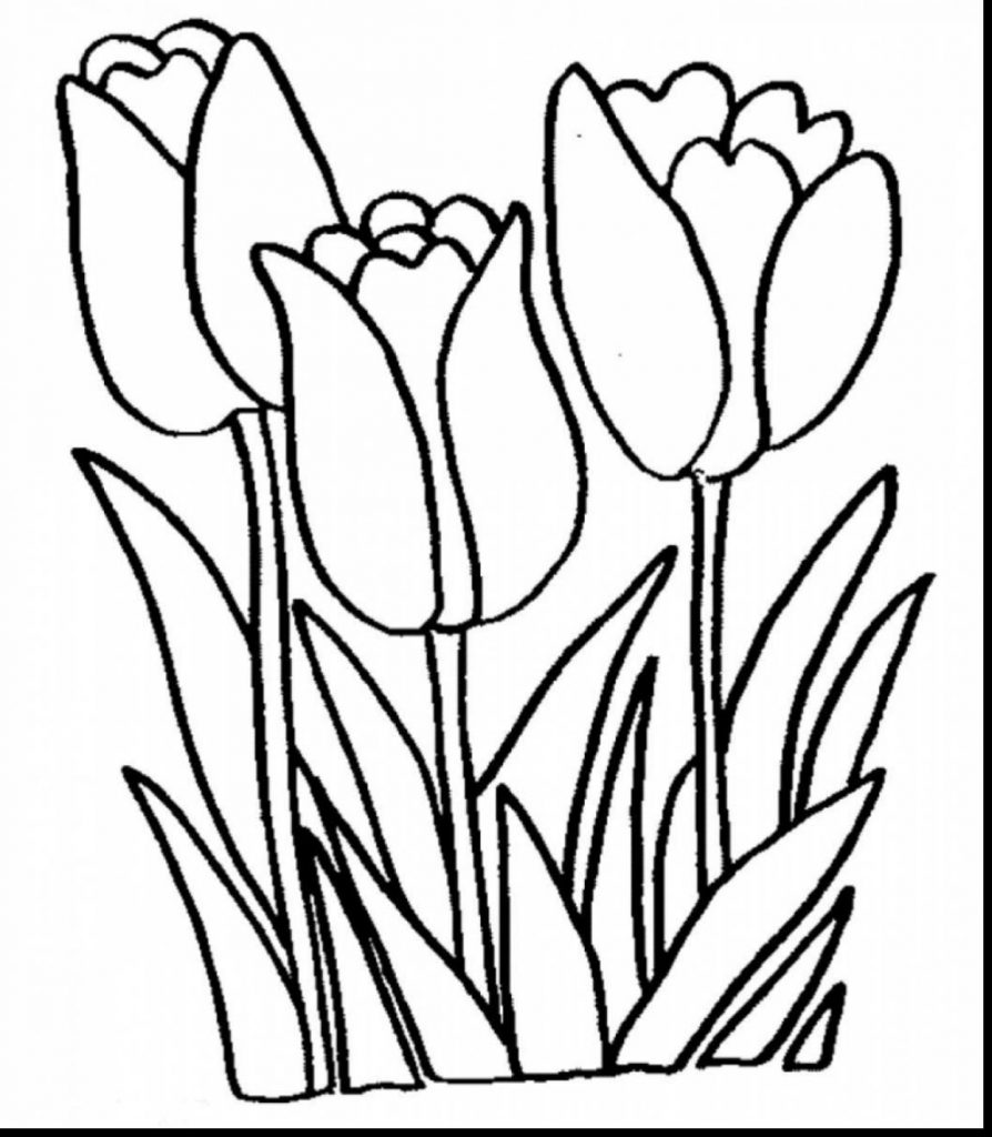 894x1024 Arum Lily Coloring Pages For Kids Page Flowers Peace Frog Pad