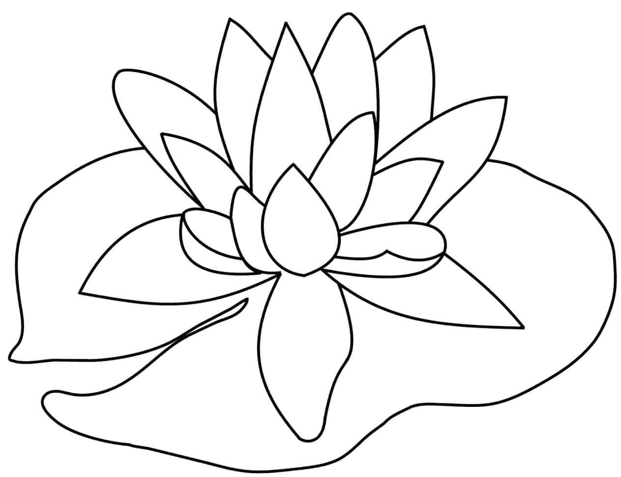 1264x972 Coloring Pages Thanksgiving Food Floral Page Storm Trooper Flower