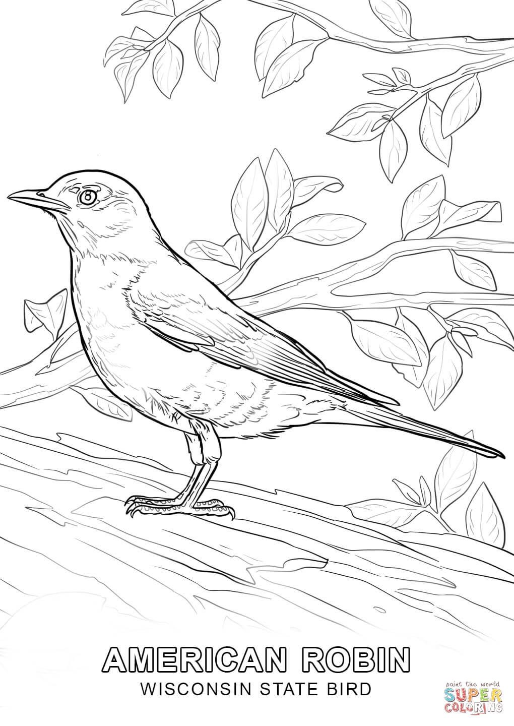 1020x1440 Click The Wisconsin State Bird Coloring Pages To View Printable