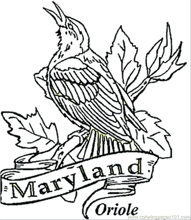 650x745 Coloring Book State Bird Page Maryland Flag Coloring Page State