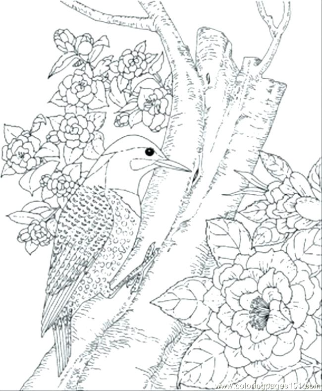 650x789 Coloring Page Bird Free Coloring Pages Of Birds State Bird