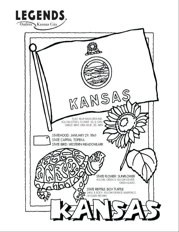 624x806 Kansas State Bird Coloring Page