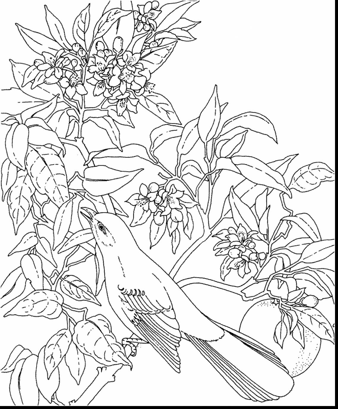 1137x1373 Best Of Flower And Bird Coloring Pages Collection Printable