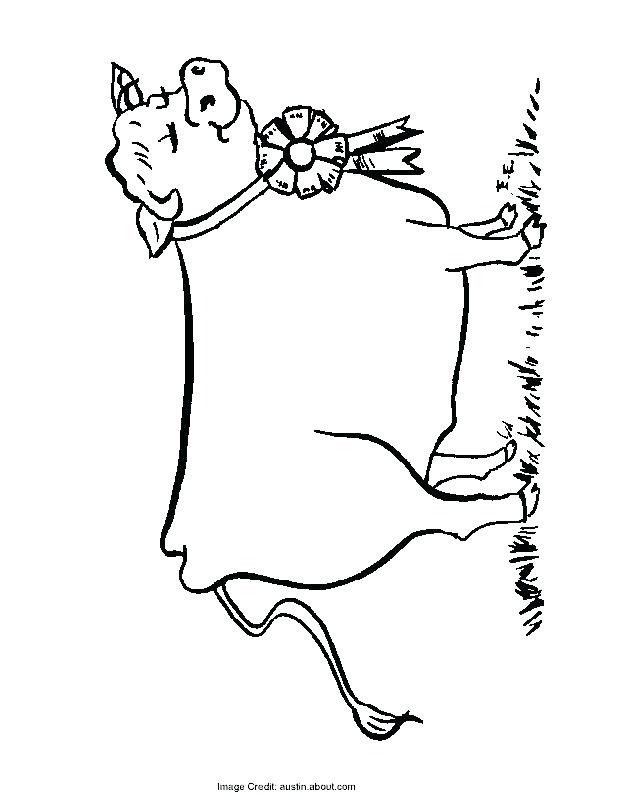 628x796 Fair Coloring Pages State Fair Carnival Coloring Pages Science