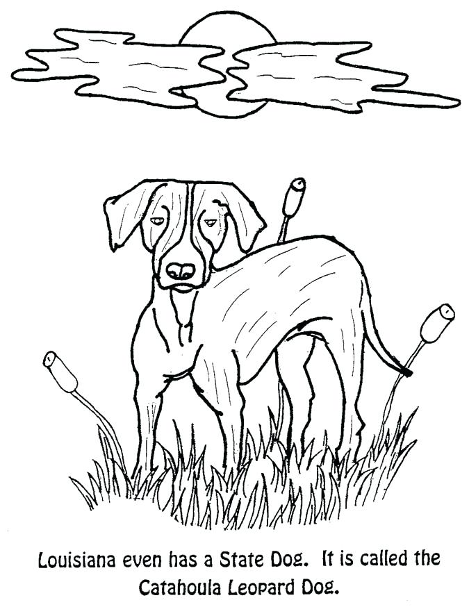 675x874 Illinois State Flag Coloring Page State Crustacean A State Dog