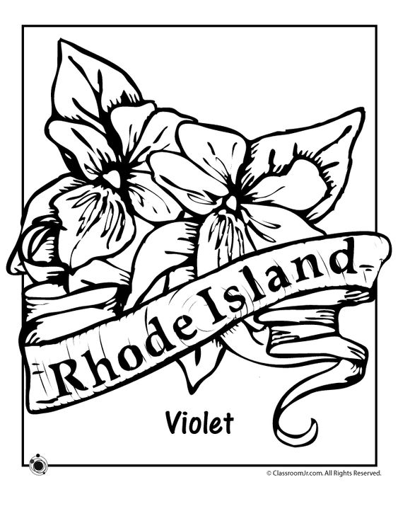 563x729 State Flower Coloring Pages Illinois State Flower Coloring Page
