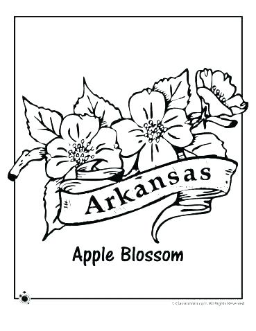 369x478 Arkansas Coloring Pages