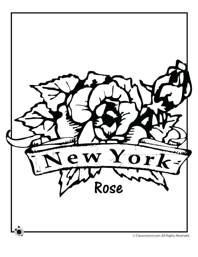 680x880 Delaware State Flower Coloring Page Professional