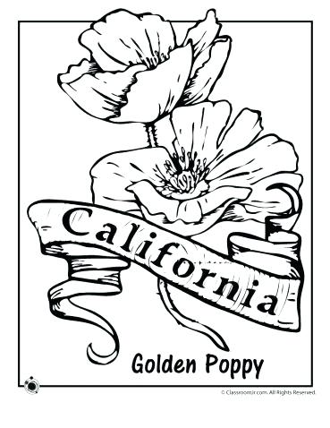 369x478 Flower Coloring Sheets As Cool State Flower Coloring Pages