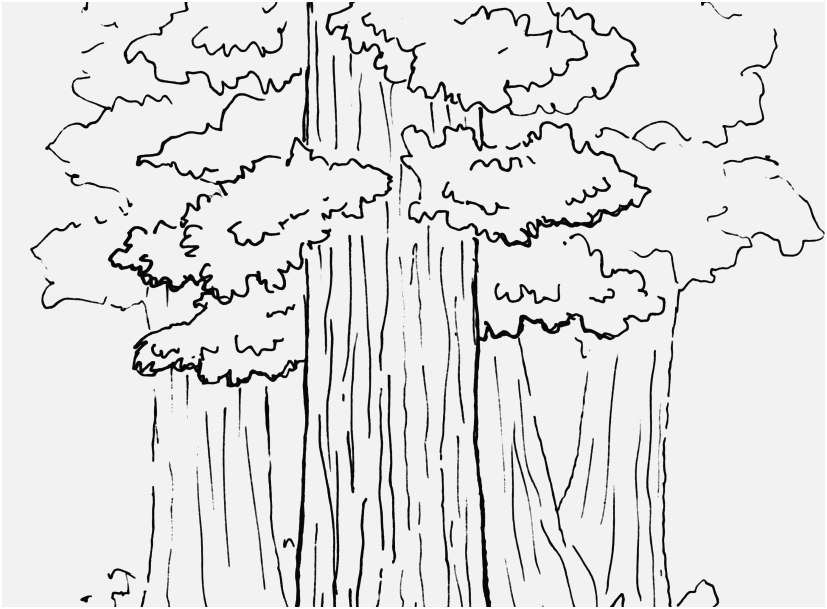 827x609 The Ideal Graphic State Coloring Pages Fantastic