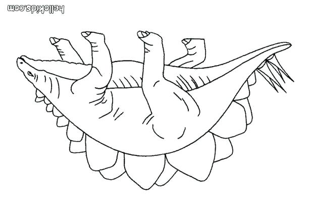 620x438 Stegosaurus Coloring Page Baby Stegosaurus Coloring Page