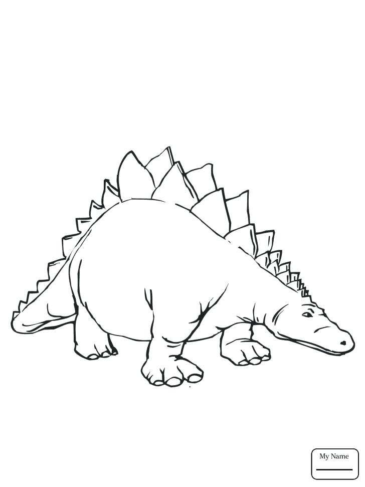 728x971 Stegosaurus Coloring Page Medium Size Of Stegosaurus Coloring Page