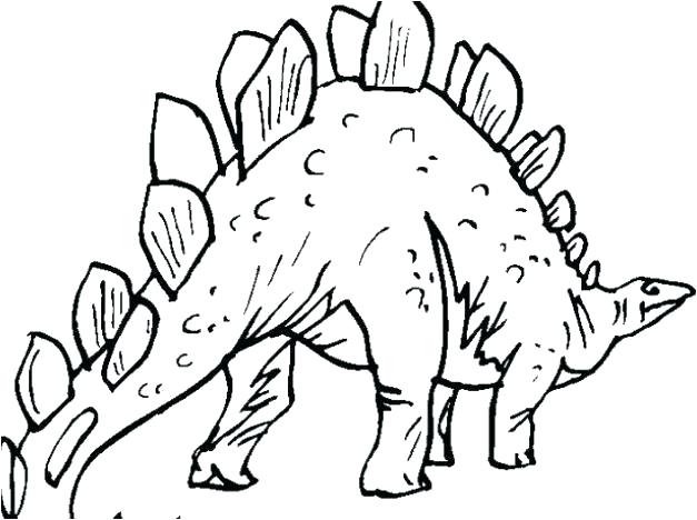 627x468 Stegosaurus Coloring Page Pages Dinosaurs Page Dinosaur Bones New