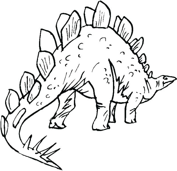 620x599 Stegosaurus Coloring Page Stegosaurus Coloring Page Stegosaurus