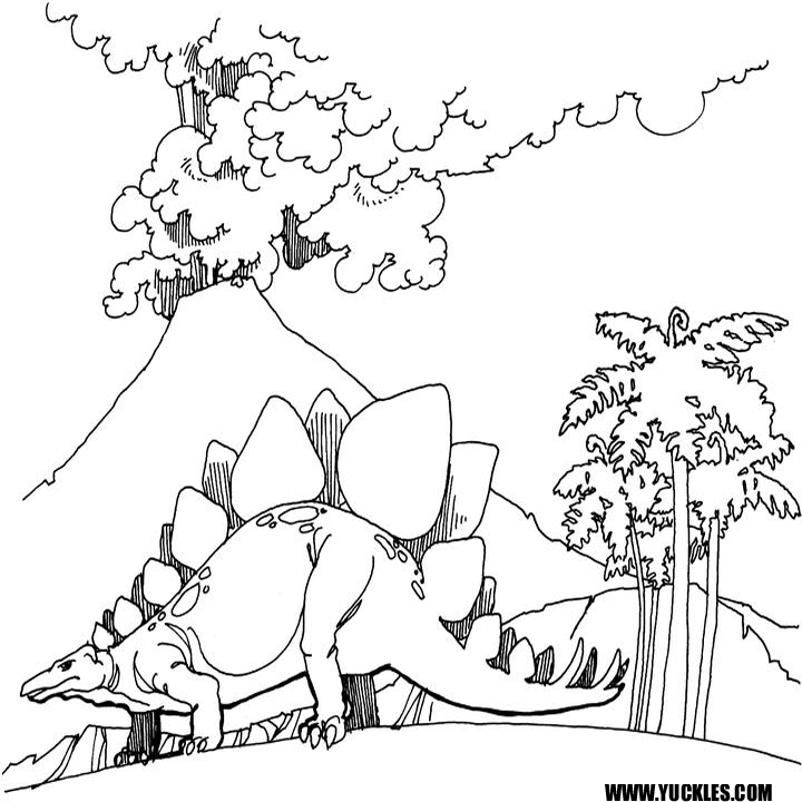 720x720 Stegosaurus Coloring Page