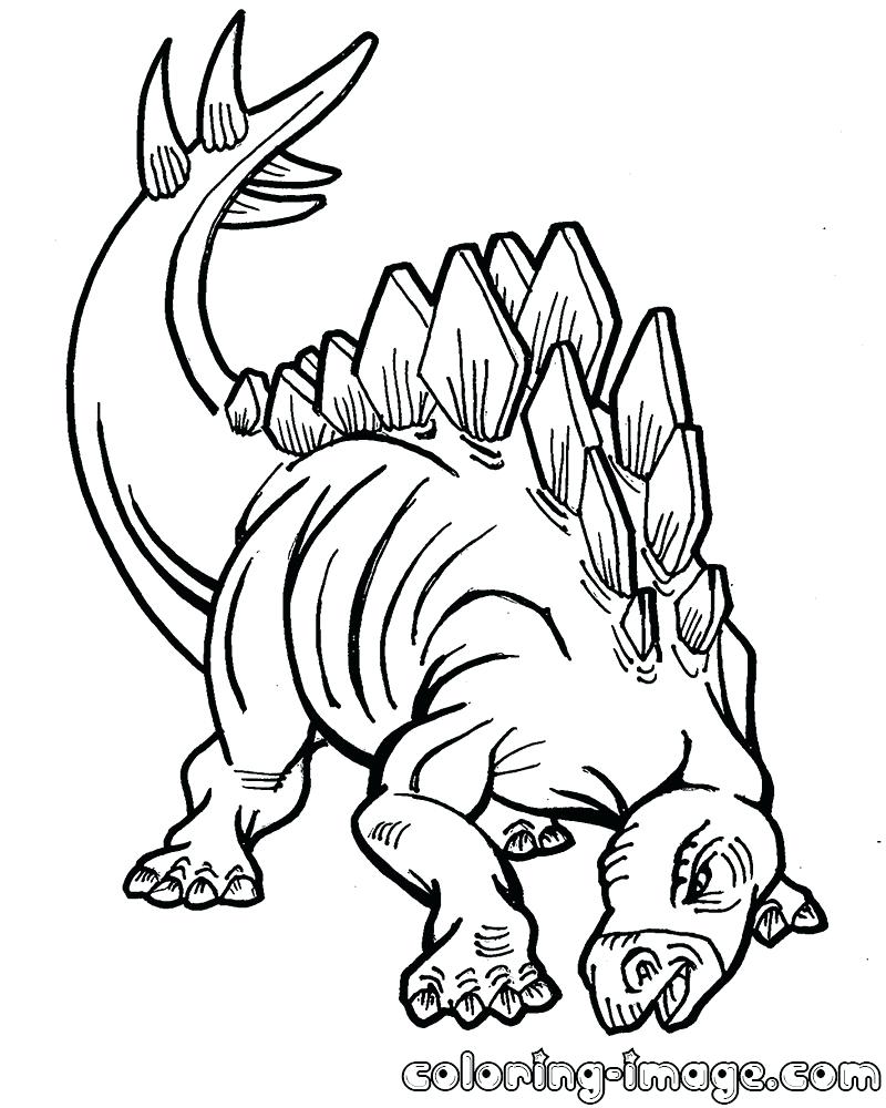 800x1000 Coloring Page Stegosaurus Coloring Page Dinosaur Free Sheets