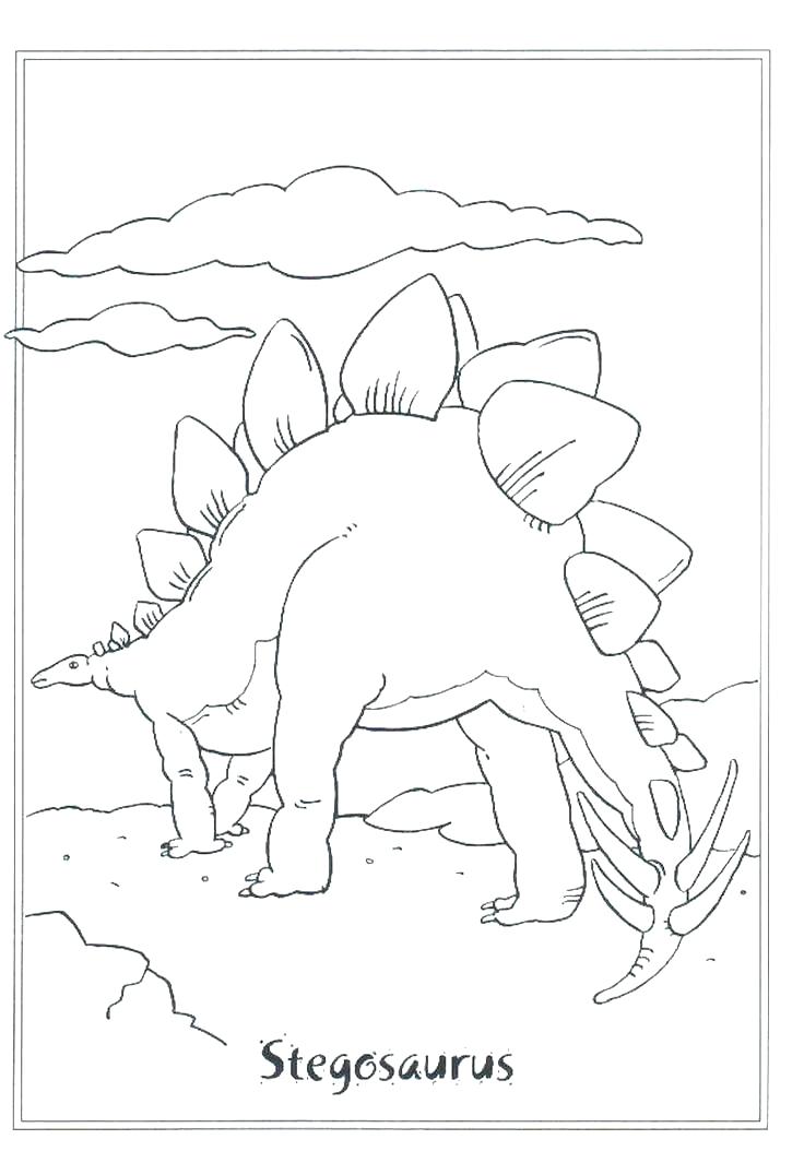 Stegosaurus Coloring Page at GetDrawings | Free download
