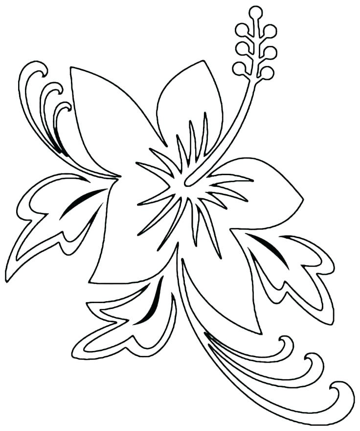736x883 Flower Outline Printable Coloring Page Best Flower Template Ideas