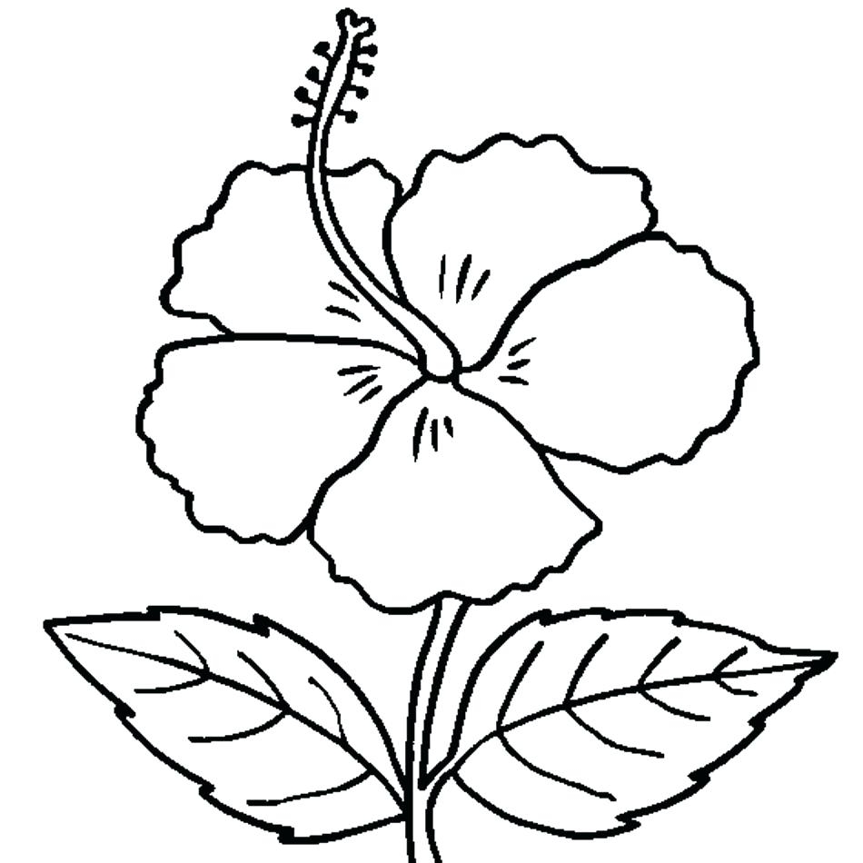 950x950 Best Of Begonia Coloring Pages Gallery Printable Coloring Sheet
