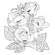 230x230 Top Free Printable Beautiful Rose Coloring Pages For Kids
