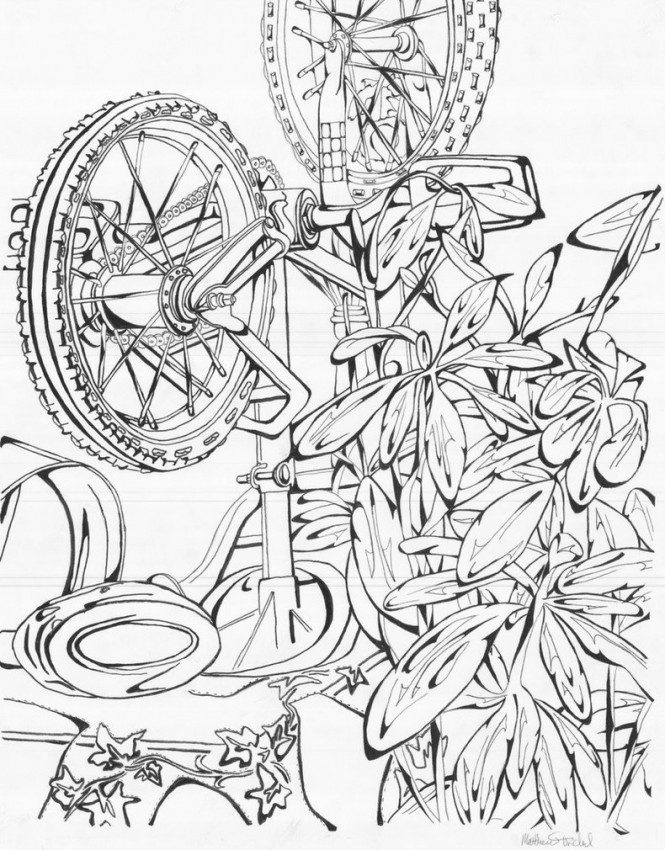 665x850 Outstanding Still Life Coloring Pages Component