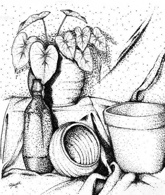 549x650 Still Life Printable Coloring Pages Coloring Pages
