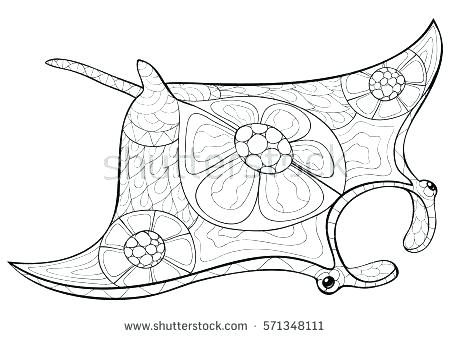 450x338 Stingray Coloring Pages Stingray Coloring Page Cute Stingray