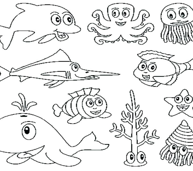 678x600 Stingray Coloring Pages Stingray Coloring Page Ocean Animal