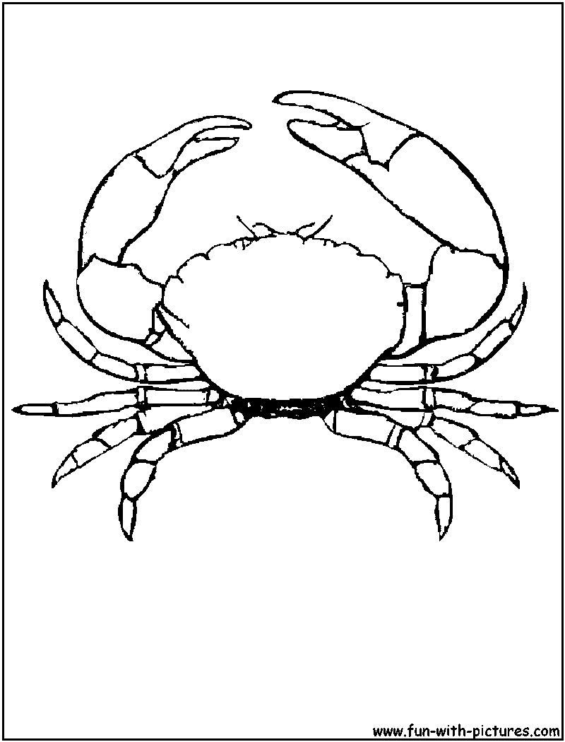 800x1050 Stone Crab Coloring Page Fishes Stone Crab, Stone