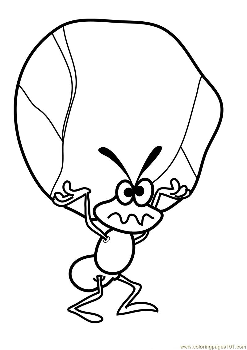 800x1131 Ant Taking Stone Coloring Page