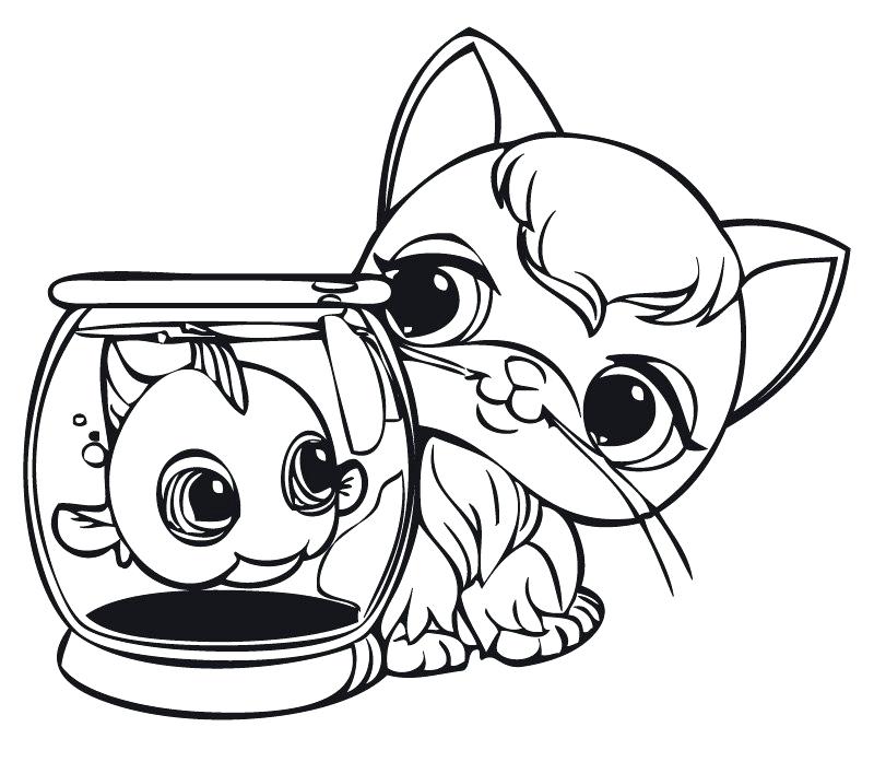 800x697 Pet Shop Coloring Pages Pet Shop Coloring Pages Printable Series