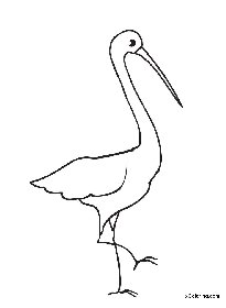 205x280 Stork
