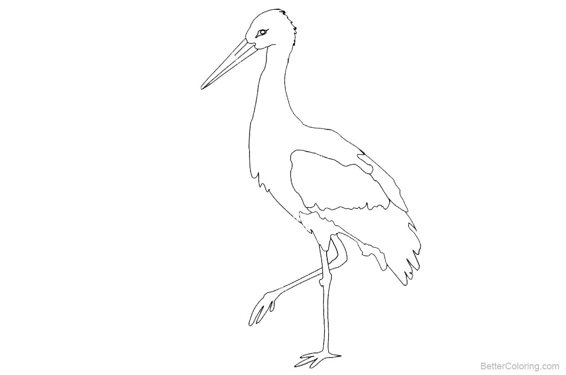 1100x730 Stork Coloring Pages