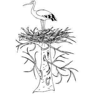 300x300 Stork In Nest Coloring Page