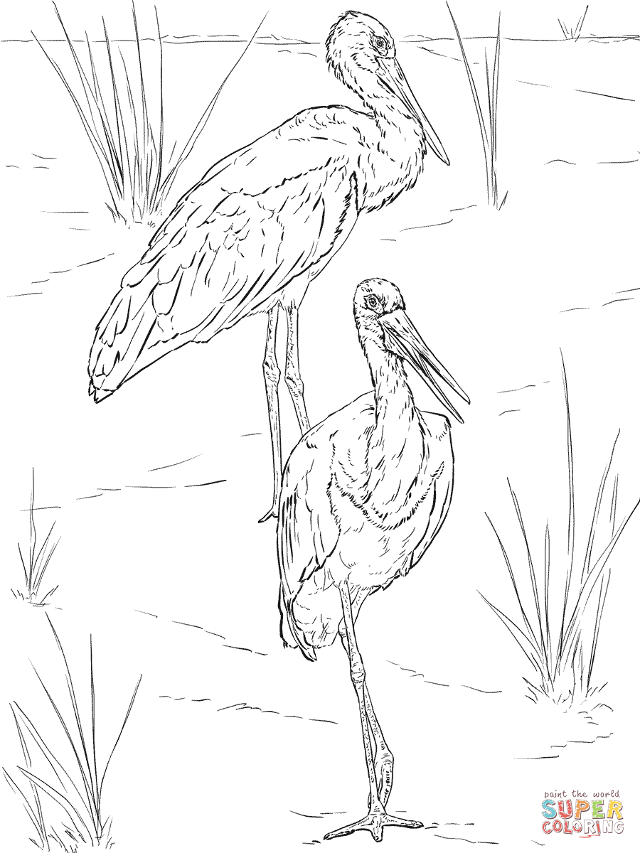 900x1200 Storks Coloring Pages