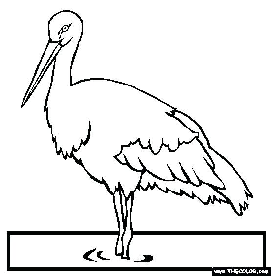 554x565 Stork Coloring Pages Crane Bird On Paddy Field Coloring Pages