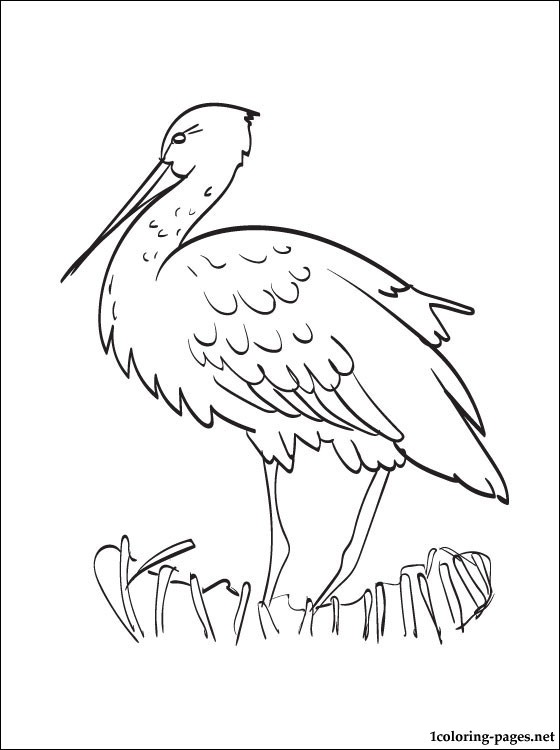 560x750 Stork Coloring Page Coloring Pages