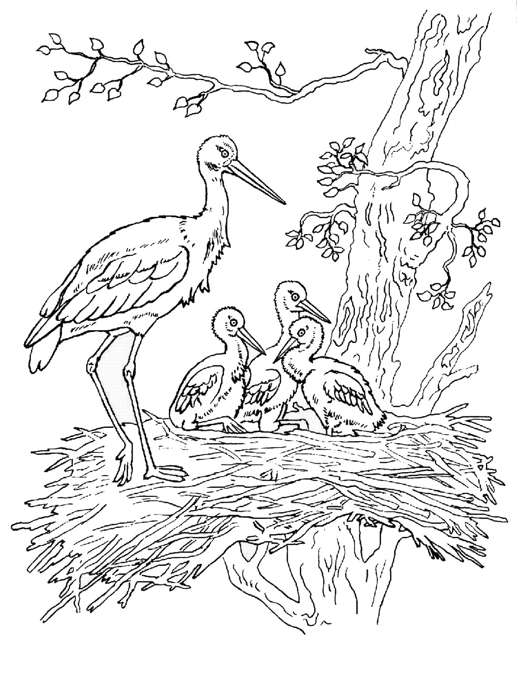 1050x1400 Storks Coloring Pages