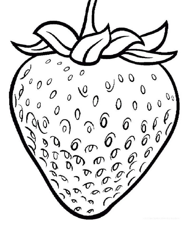 800x948 One Large Strawberry Coloring Page Printable Fruit Coloring Page